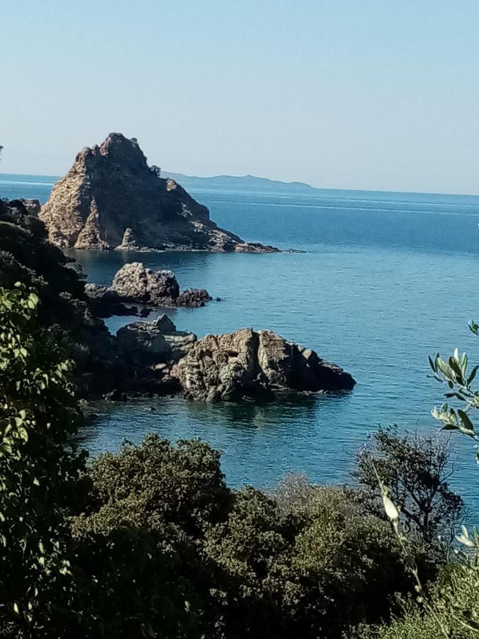 Laetitia Lägenhet Porto Santo Stefano  Exteriör bild